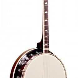 Gold Tone IT-250R: Irish Tenor Banjo with Resonator
