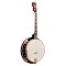 Gold Tone IT-250R: Irish Tenor Banjo with Resonator