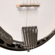 OB-150 Gold Tone Orange Blossom Banjo 