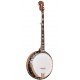 OB-250 Gold Tone Orange Blossom Banjo OB-250 Gold Tone Orange Blossom Banjo