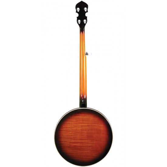 OB-250 Gold Tone Orange Blossom Banjo OB-250 Gold Tone Orange Blossom Banjo