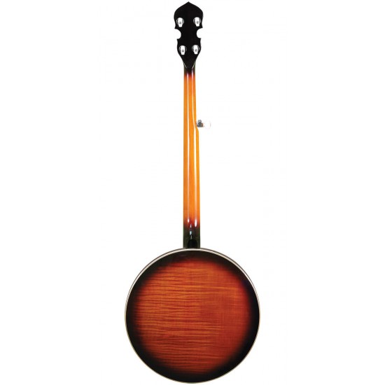 OB-250 Gold Tone Orange Blossom Banjo 