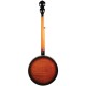 OB-250 Gold Tone Orange Blossom Banjo 