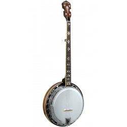 OB-250AT Gold Tone Orange Blossom Archtop Banjo