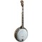 Gold Tone OB-250AT Orange Blossom Archtop Banjo