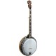 OB-250AT Gold Tone Orange Blossom Archtop Banjo