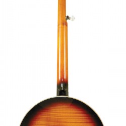 Gold Tone OB-250AT Orange Blossom Archtop Banjo
