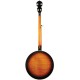 Gold Tone OB-250AT Orange Blossom Archtop Banjo
