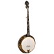 OB-300 Gold Tone Orange Blossom Banjo "The Gold-Plated Beauty" 