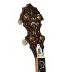 OB-300: Orange Blossom Banjo "The Gold-Plated Beauty" with Case