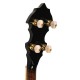 OB-300 Gold Tone Orange Blossom Banjo "The Gold-Plated Beauty" OB-300 Gold Tone Orange Blossom Banjo "The Gold-Plated Beauty"