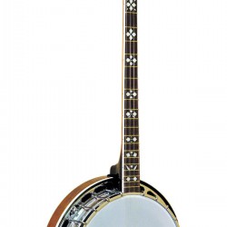 PS-250: Gold Tone Plectrum Banjo