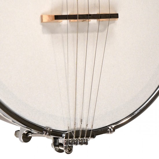 Plucky: Gold Tone Traveler Banjo 