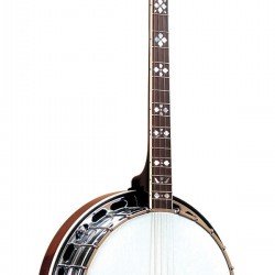 TS-250: Tenor Special Banjo with Case