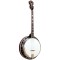 TS-250: Gold Tone Tenor Special Banjo 