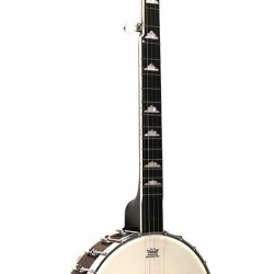 WL-250 Gold Tone White Ladye Banjo