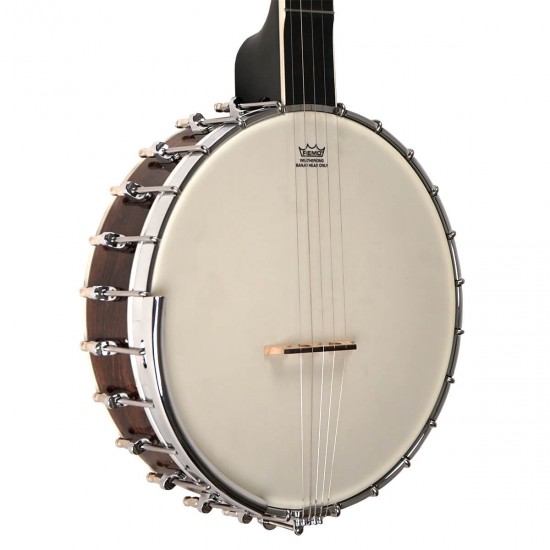 WL-250 Gold Tone White Ladye Banjo