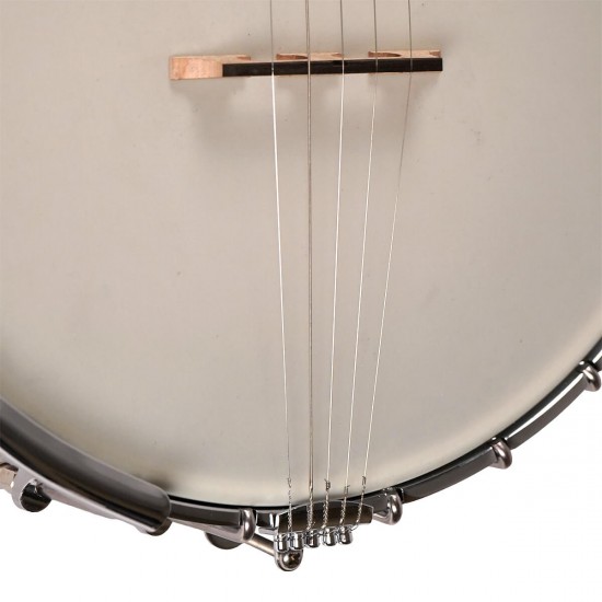 WL-250 Gold Tone White Ladye Banjo