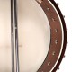 WL-250 Gold Tone White Ladye Banjo