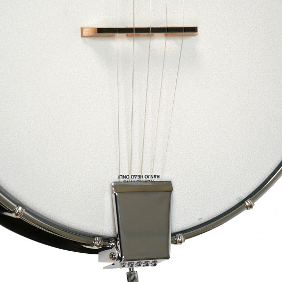 AC-1: Gold Tone Acoustic Composite Banjo