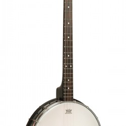 AC-4 Gold Tone Tenor Banjo 