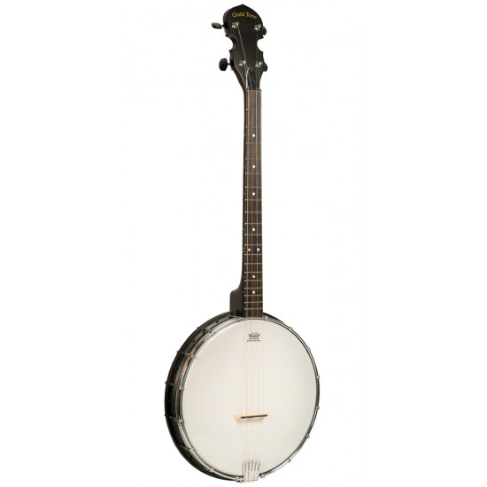 AC-4: Acoustic Composite 4-String Openback Tenor Banjo with Gig Bag