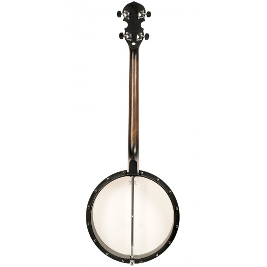 AC-4 Gold Tone Tenor Banjo 