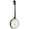 AC-4 IT Irish Tenor Gold Tone Banjo 