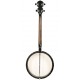 AC-4 IT Irish Tenor Gold Tone Banjo 