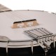 AC-5: Gold Tone Acoustic Composite 5-String Banjo with Gig Bag