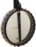 Carlin Signature Series Banjo Back