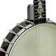 Open Back Banjos